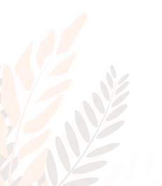 Pergolux